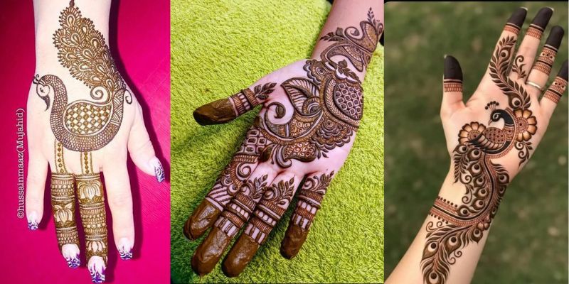 Peacock Inspired Arabic Pattern