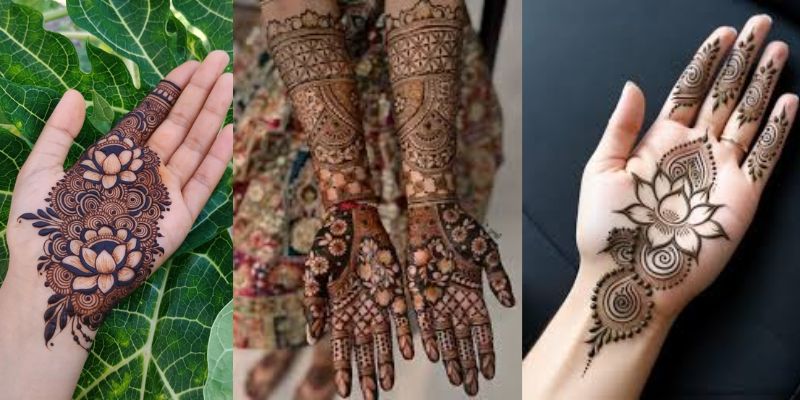 Lotus Trail Arabic Design